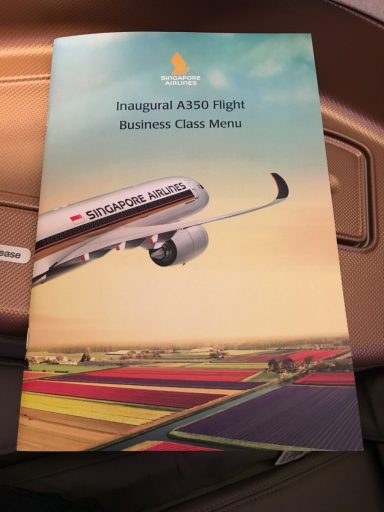 Singapore Airlines A350 Business Class Review