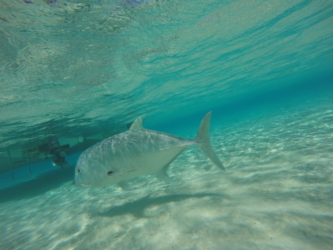 Aitutaki