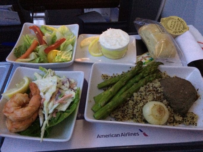 american airlines premium economy