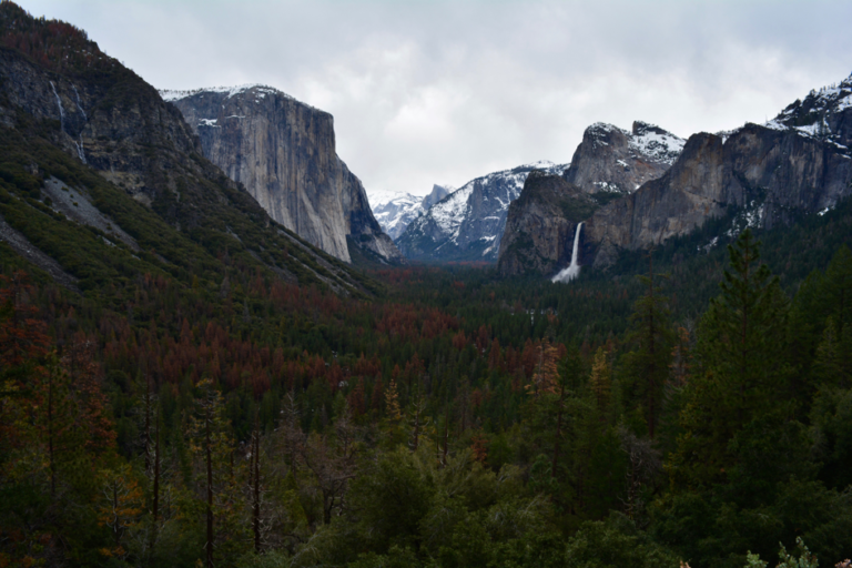 Yosemite, Los Angeles, San Francisco, Road trip, USA, Californie, VS 