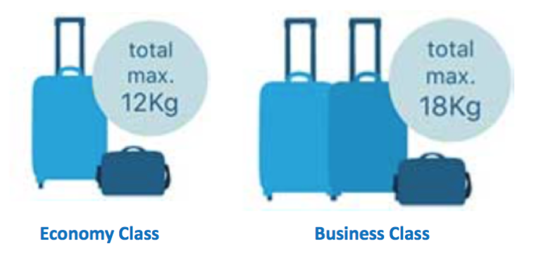 klm baggage info