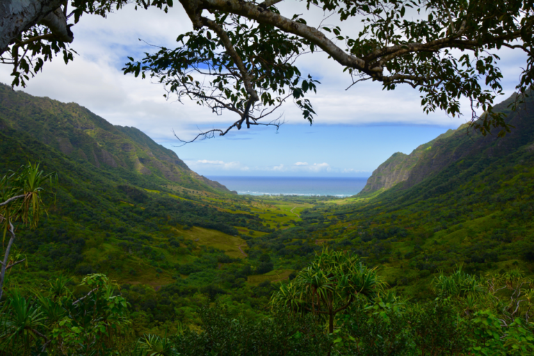 Hawaii, Honolulu, Oahu