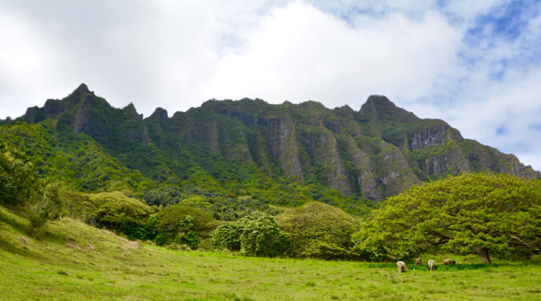 Hawaii, Honolulu, Oahu