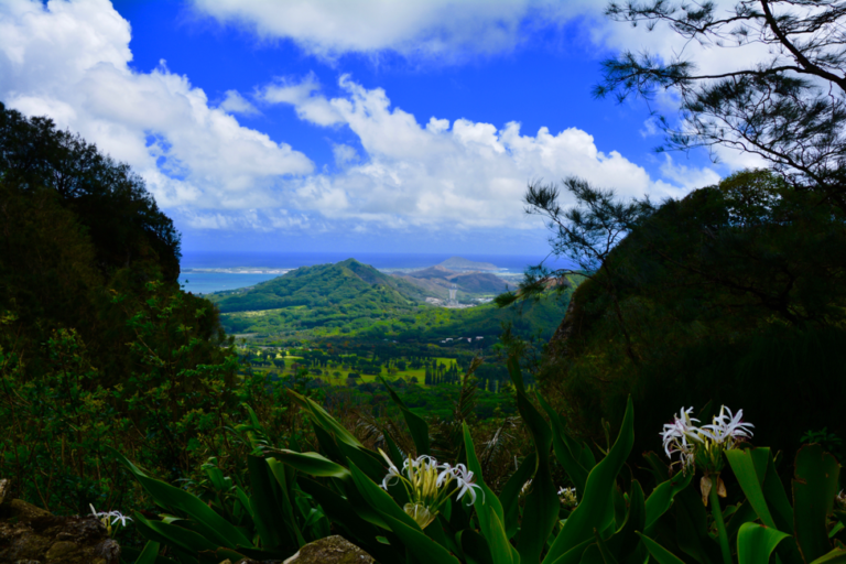 Hawaii, Honolulu, Oahu