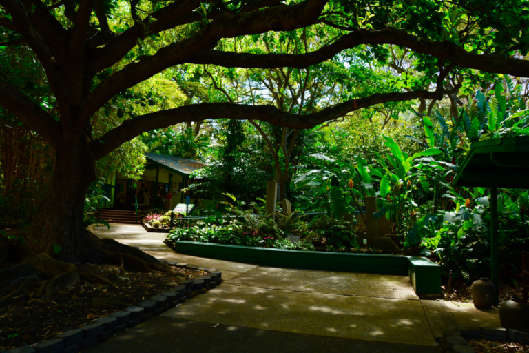 Hawaii, Honolulu, Oahu