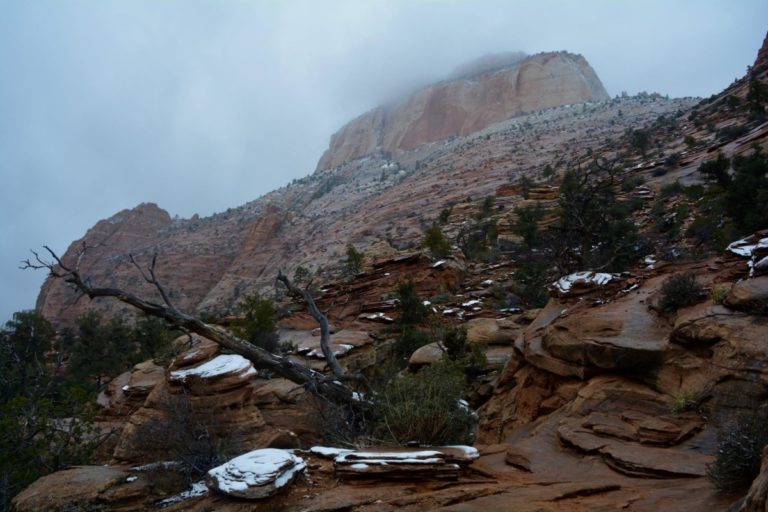 Las Vegas, national park, nationale parken, road trip, Zion National Park, Amerika