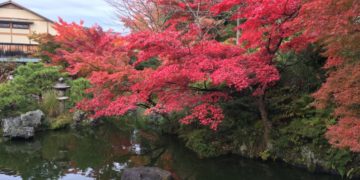 Hilton Japan