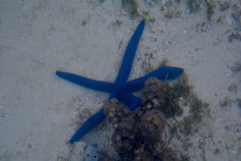 Cookeilanden, vakantie, paradijs, Rarotonga,