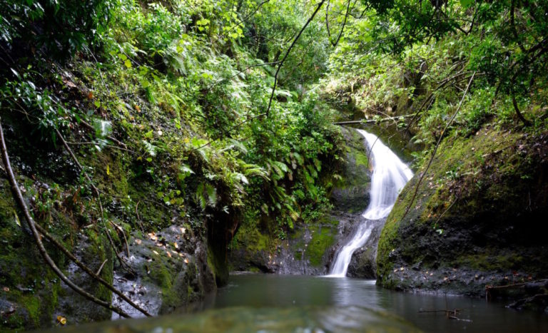 Cookeilanden, vakantie, paradijs, Rarotonga,