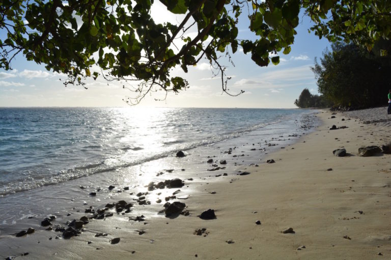 Cookeilanden, vakantie, paradijs, Rarotonga,