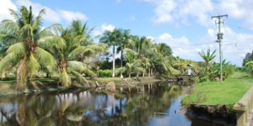 Stijging coronabesmetting zorgt voor sluiting luchtruim Suriname