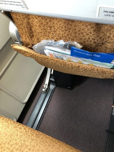 Garuda Indonesia A330 Economy Class