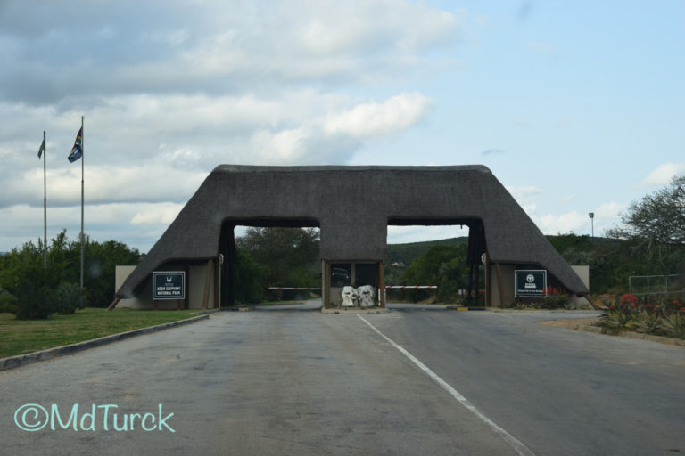 Een lange rit naar het zuiden, op bezoek bij Addo Elephant Park