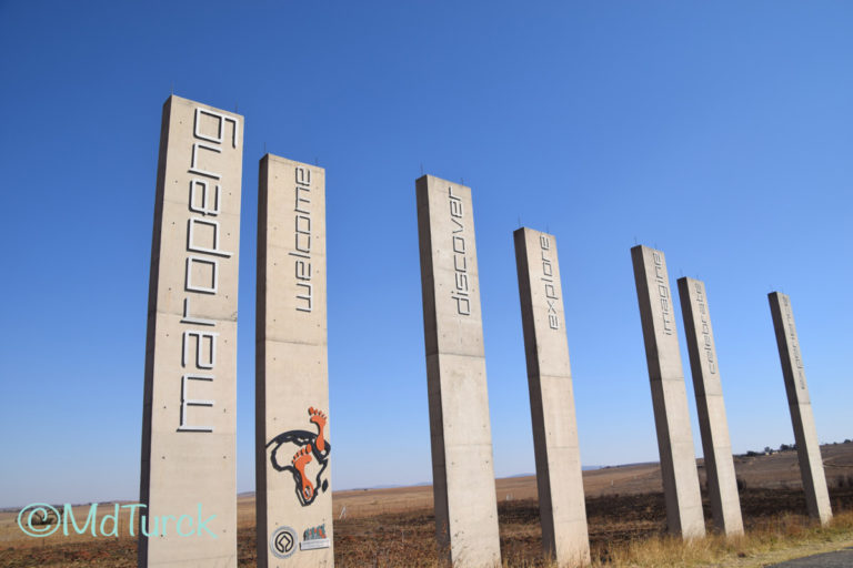 Aanraders in de omgeving van Johannesburg