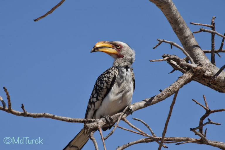 Bezoek aan Nelspruit & Kruger National Park