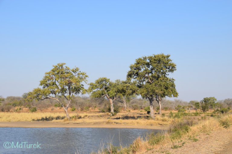 Bezoek aan Nelspruit & Kruger National Park