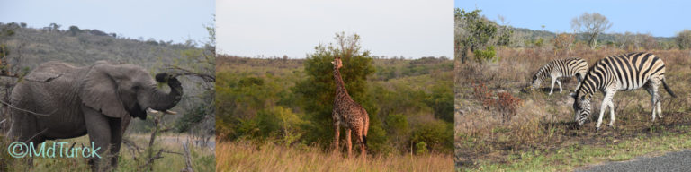 St. Lucia, Durban en de prachtige natuurparken