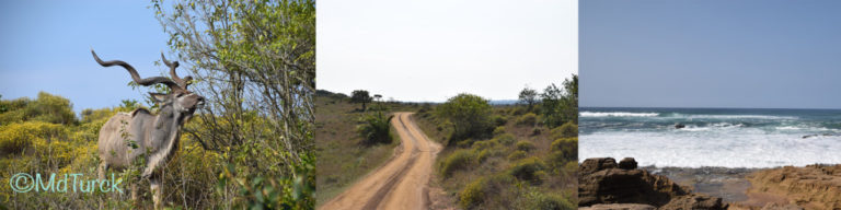 St. Lucia, Durban en de prachtige natuurparken