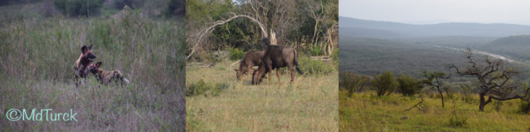 St. Lucia, Durban en de prachtige natuurparken