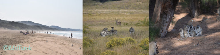 St. Lucia, Durban en de prachtige natuurparken