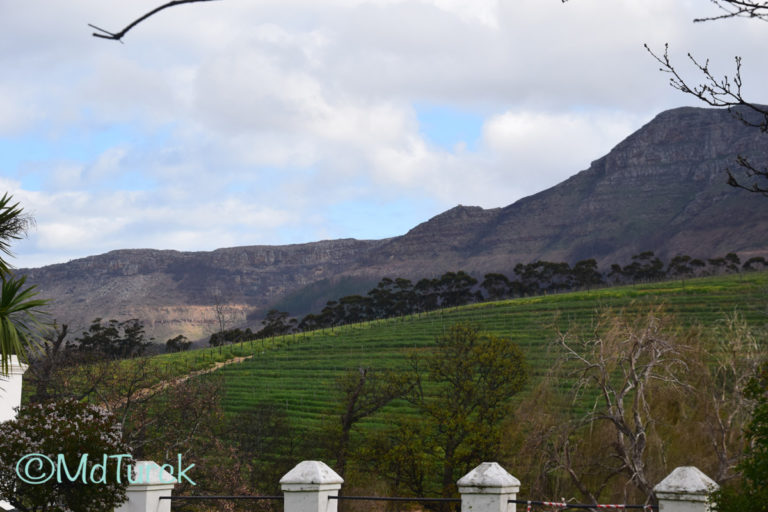 Bestemmingstips: Omgeving Kaapstad – Stellenbosch & Robben Island