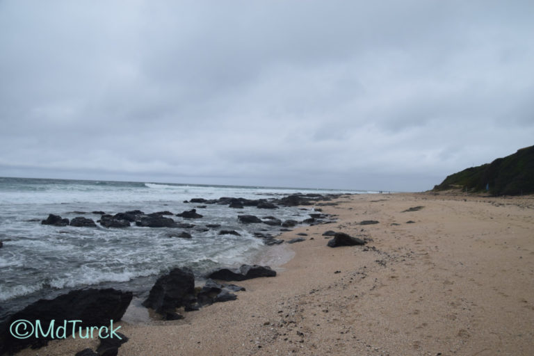 Genieten van het strand en zee in Jeffrey’s Bay & Cape St. Frances