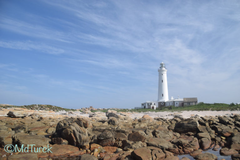 Genieten van het strand en zee in Jeffrey’s Bay & Cape St. Frances