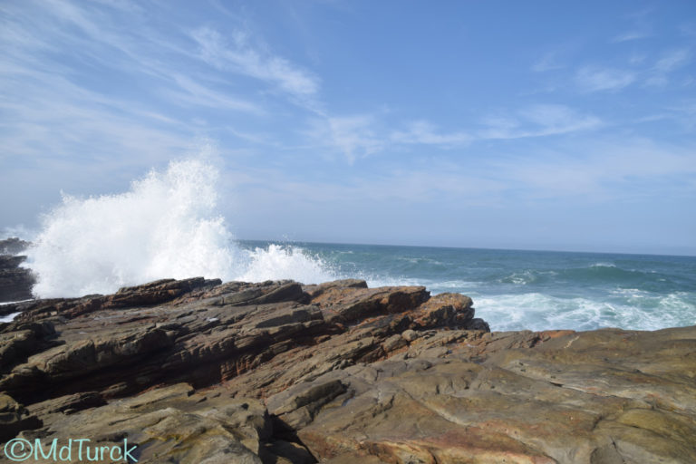 Genieten van het strand en zee in Jeffrey’s Bay & Cape St. Frances