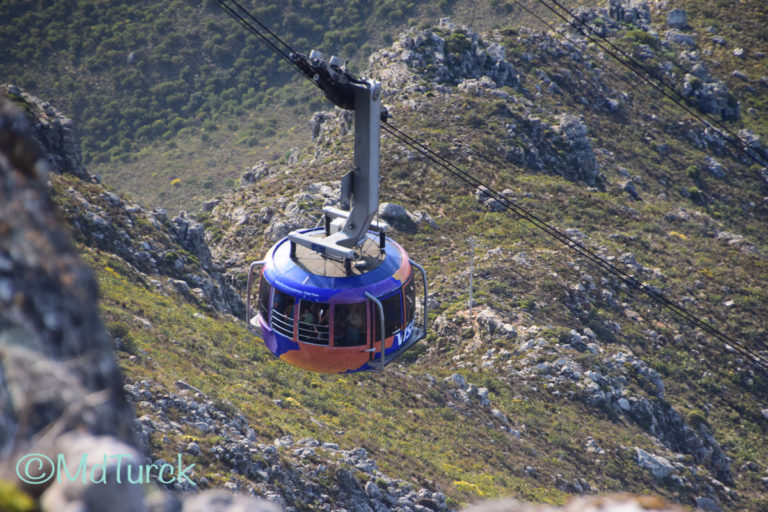 Bestemmingstips: Een adembenemende trip naar de Tafelberg ...