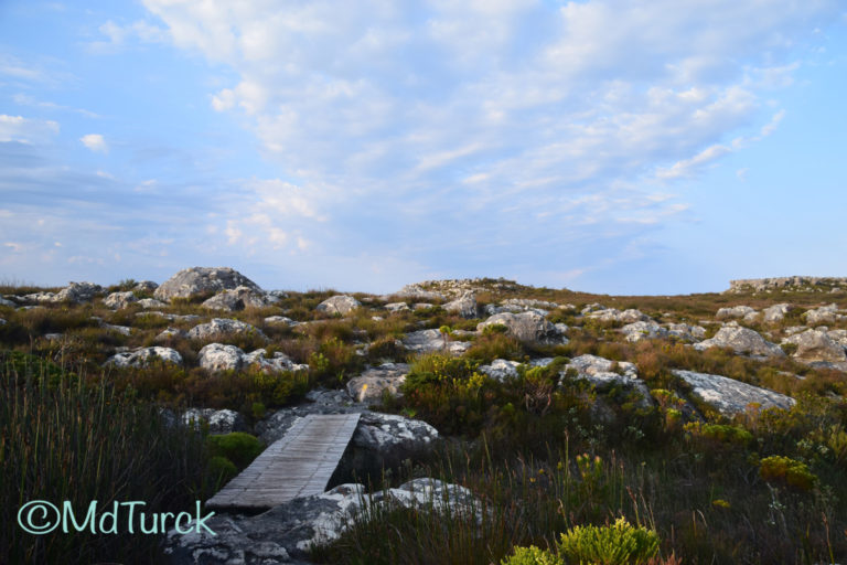 Bestemmingstips: Een adembenemende trip naar de Tafelberg