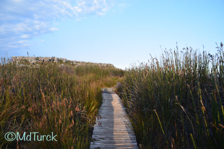 Bestemmingstips: Een adembenemende trip naar de Tafelberg