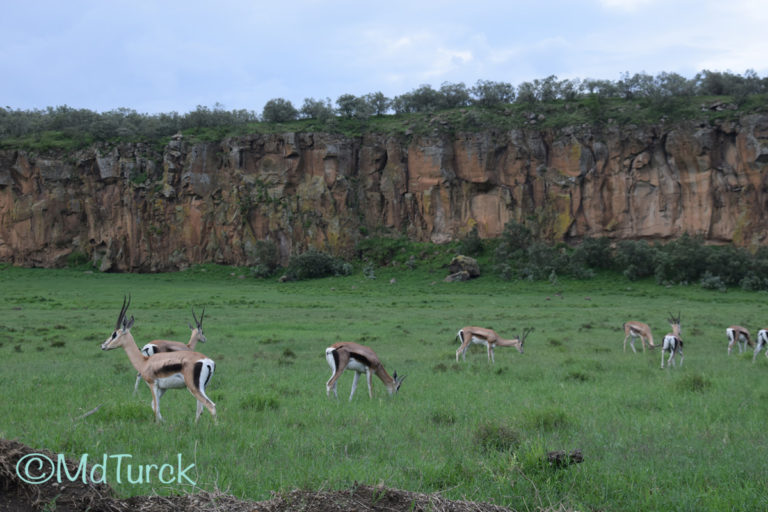 Trip introductie – Safariland Kenia