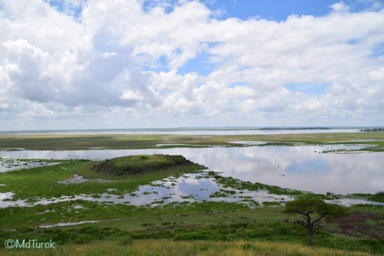 Op zoek naar de olifanten en leeuwen? Bezoek Amboseli National Park!