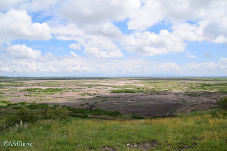 Op zoek naar de olifanten en leeuwen? Bezoek Amboseli National Park!