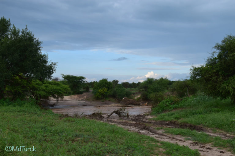 Review - Airbnb Maasai Simba Camp, Amboseli National Park