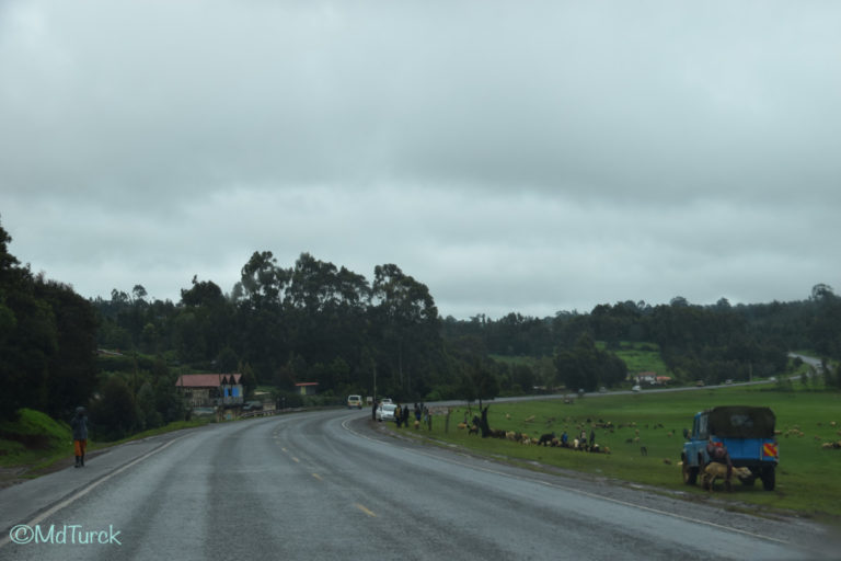 Wandel of fietsafari? Dat kan in Hells Gate National Park