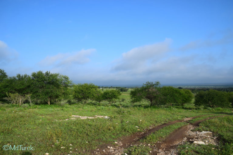 Op zoek naar de olifanten en leeuwen? Bezoek Amboseli National Park!