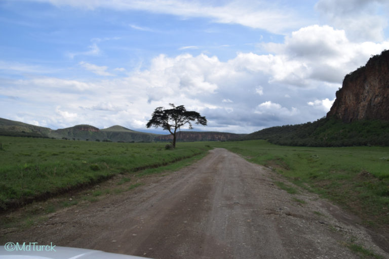 Wandel of fietsafari? Dat kan in Hells Gate National Park