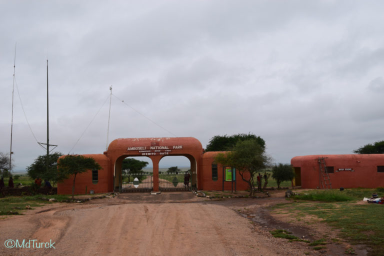 Op zoek naar de olifanten en leeuwen? Bezoek Amboseli National Park!