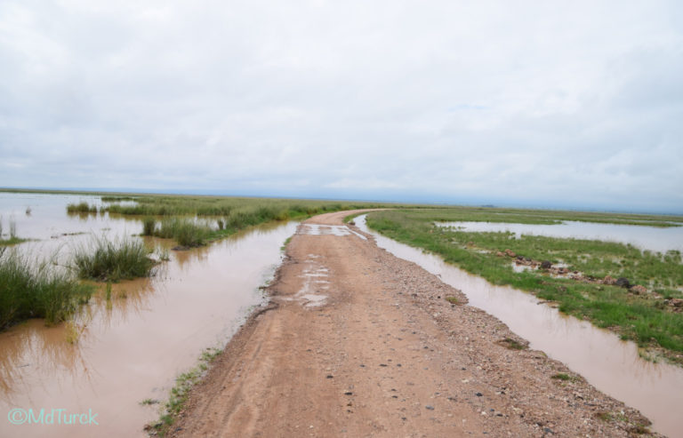 Op zoek naar de olifanten en leeuwen? Bezoek Amboseli National Park!