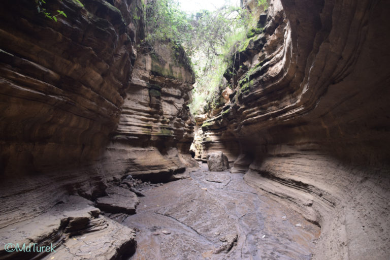 Wandel of fietsafari? Dat kan in Hells Gate National Park