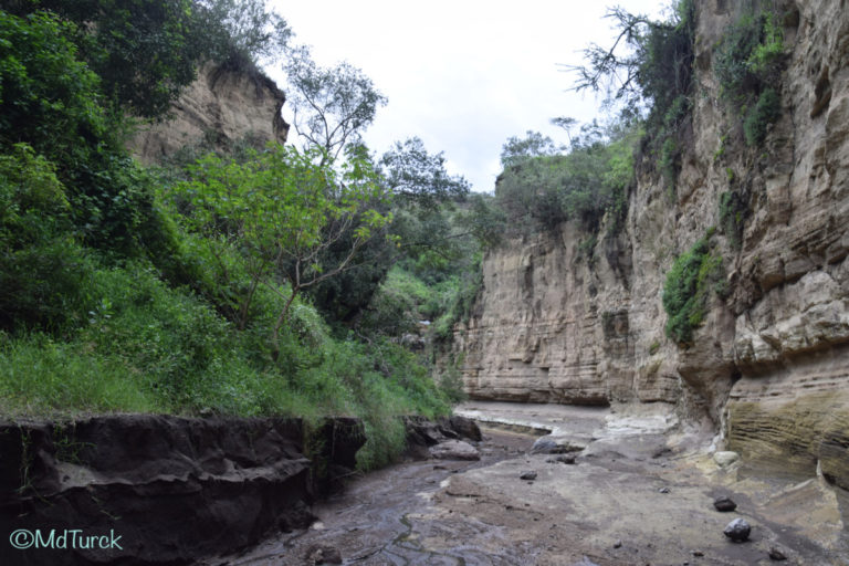 Wandel of fietsafari? Dat kan in Hells Gate National Park