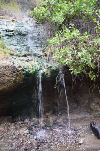 Wandel of fietsafari? Dat kan in Hells Gate National Park