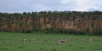 Wandel of fietsafari? Dat kan in Hells Gate National Park