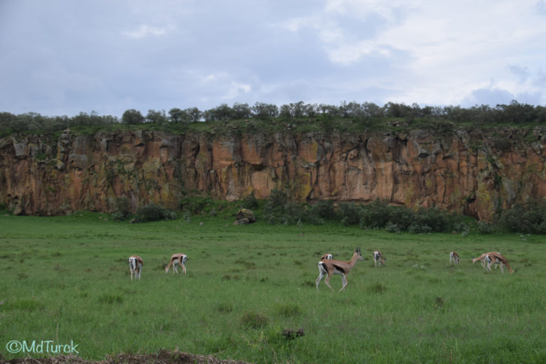 Wandel of fietsafari? Dat kan in Hells Gate National Park