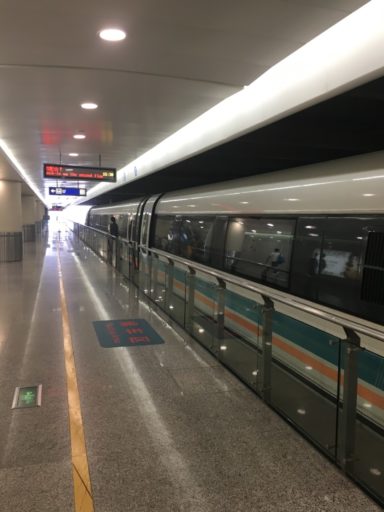 Station waar je in-/uitstapt voor de Maglev trein