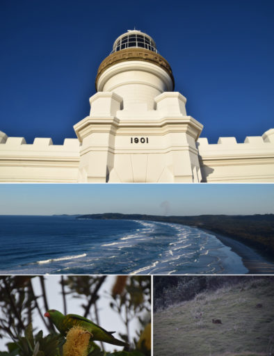 Bestemmingstips: Byron Bay en Port Macquarie & review Ibis Styles Port Macquarie