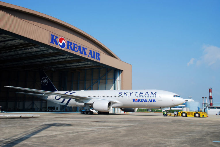 Welke toestellen vliegen er rond met een SkyTeam Livery?