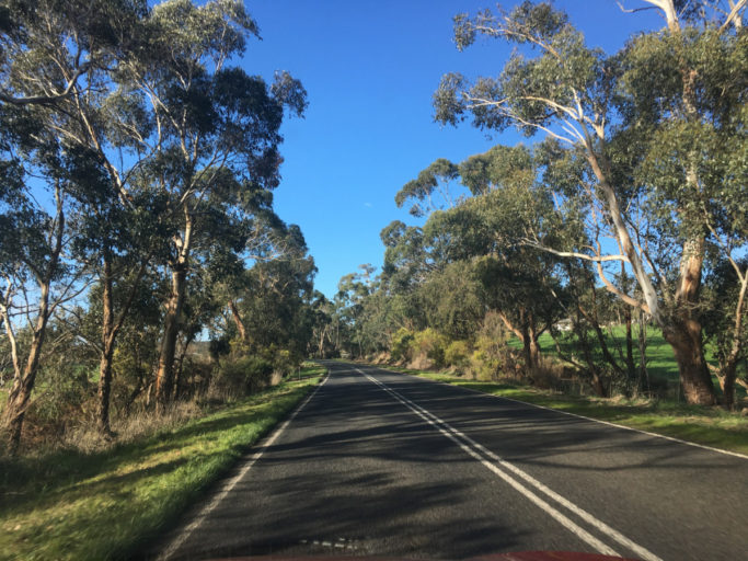 Bestemmingstips: Great Ocean Road (Bells Beach, Cape Otway & Port Campbell)