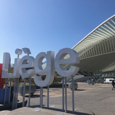 Liege Guillemins station.